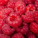 Himbeeren frisch gesund Ernährung