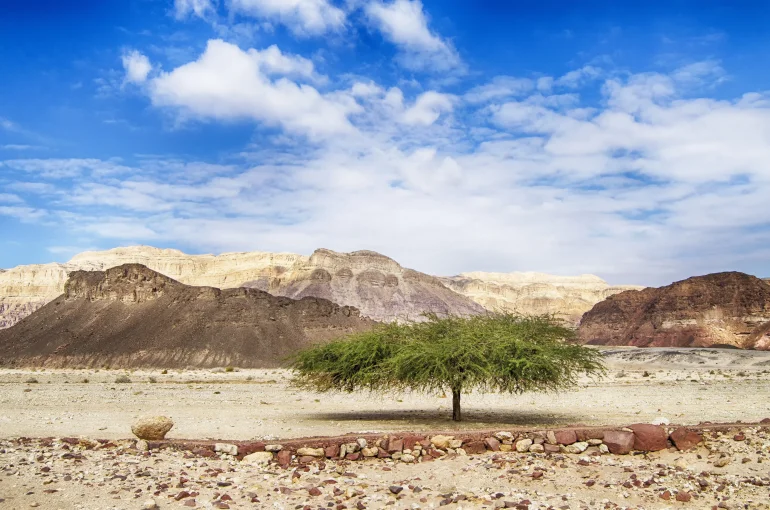 Israel Negev Timna Park Felsen